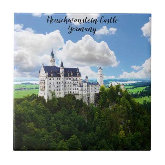 Neuschwanstein Castle Bavaria Alemanha Fotografia (Frente)