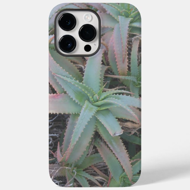 Nevada suculenta (Verso)