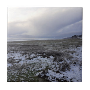 Neve Através Do Azulejo Cerâmico Da Baía