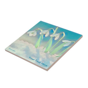 Neve Azul