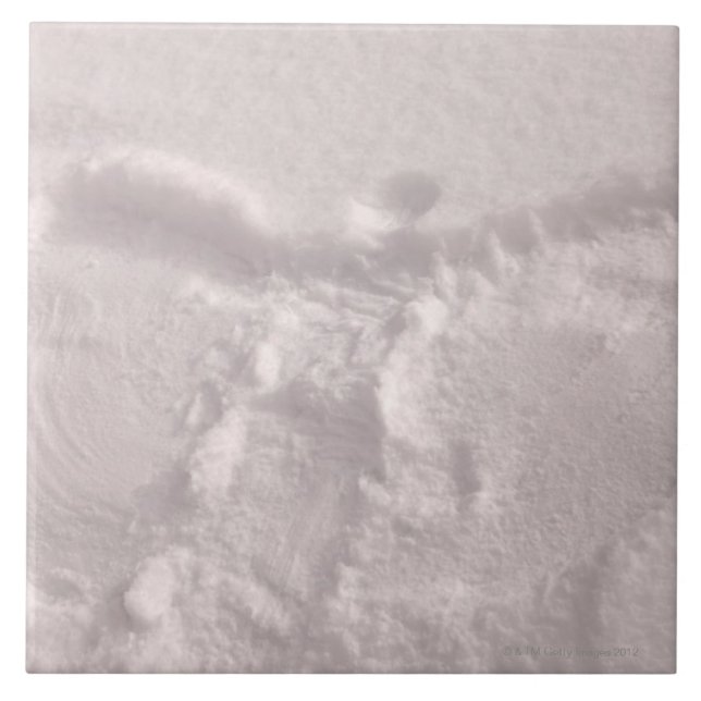Neve branca imprimida com um anjo da neve (Frente)