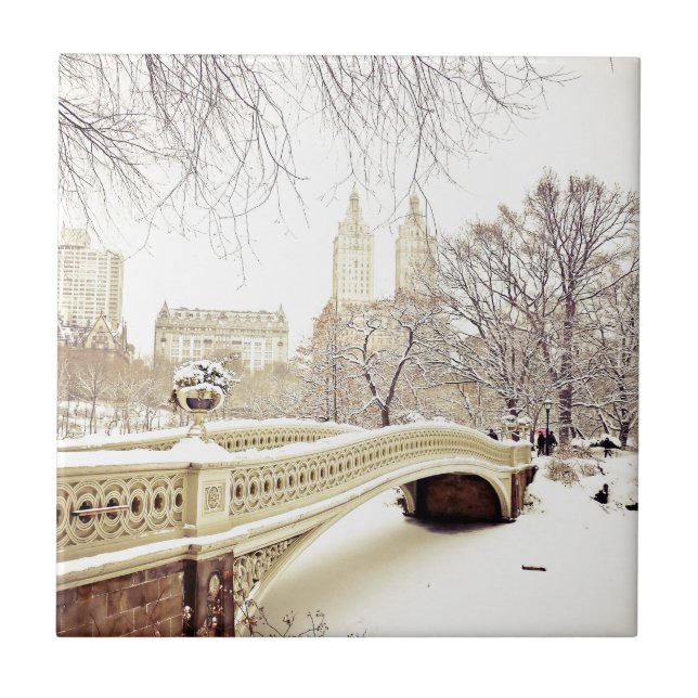 Neve do Central Park - inverno New York (Frente)