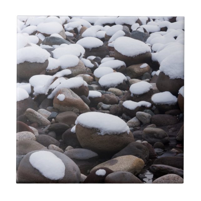 Neve e Rochas, Parque Nacional Mt. Rainier (Frente)