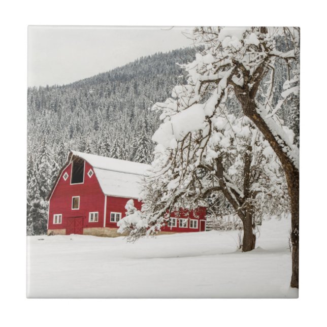 Neve fresca em celeiro vermelho (Frente)