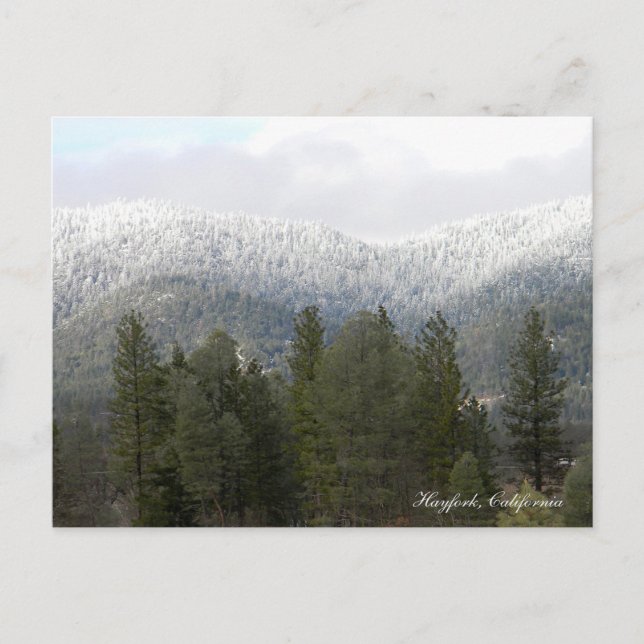 Neve Fresca Em Pó.... Cartão Postal (Frente)