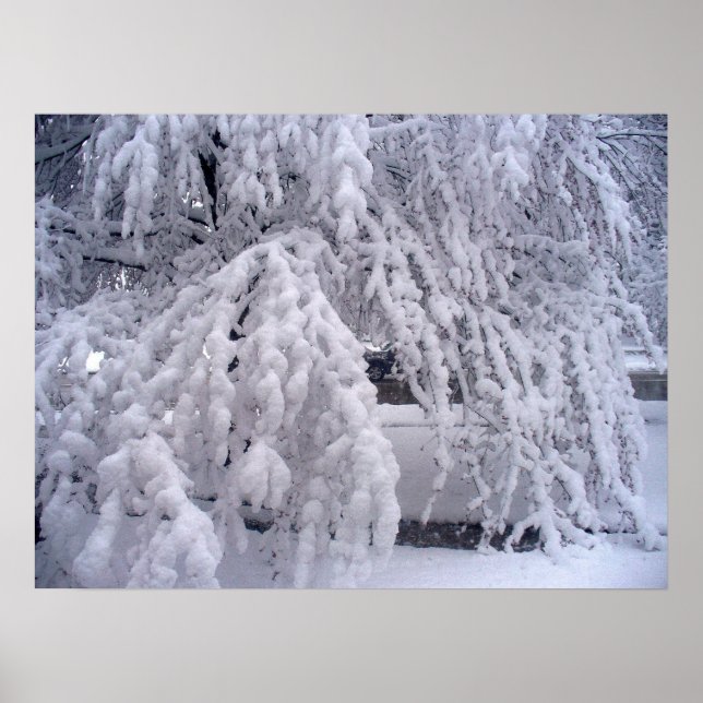 Neve na Poster de abril (Frente)