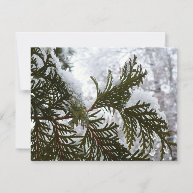 Neve nas ramificações verdes (Frente)