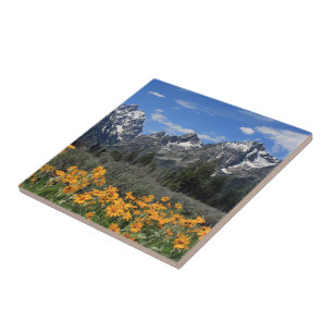 Neve no Parque Nacional Grand Teton em Primavera