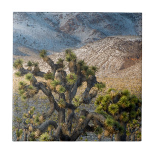 Neve No Vale Da Morte