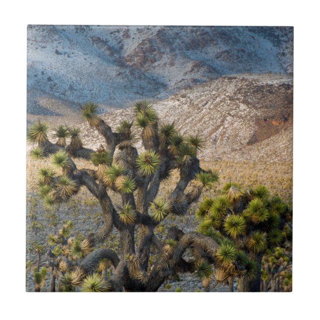 Neve No Vale Da Morte (Frente)