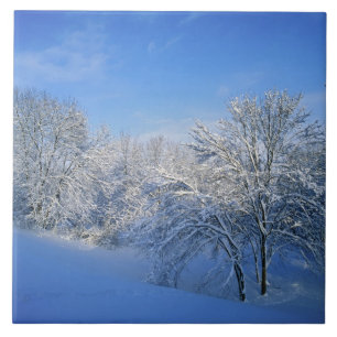 Neve recorde em Louisville, Kentucky.