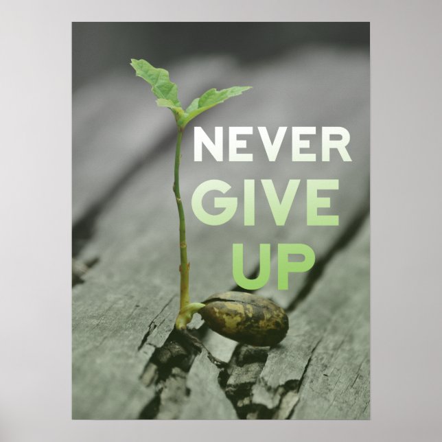 Never Give up Poster (Frente)