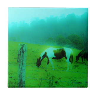 Névoa Teal Reto pintado de cor Cavalo