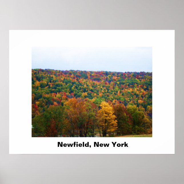 NEWFIELD NEW YORK poster (Frente)