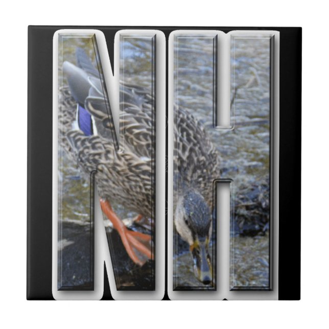 NH NOVA HÂMPSHIRE (Frente)