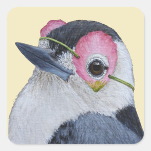 Nicky, os adesivos de nuthatch