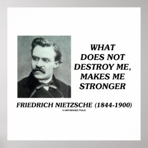 Nietzsche o que não me destrói poster das citaç