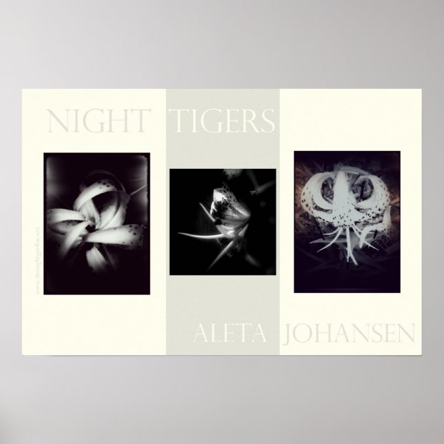 Night Tigers Poster (22.5 in. x 15 in.) (Frente)