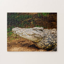 Nile Crocodile, Quebra-cabeça de serra