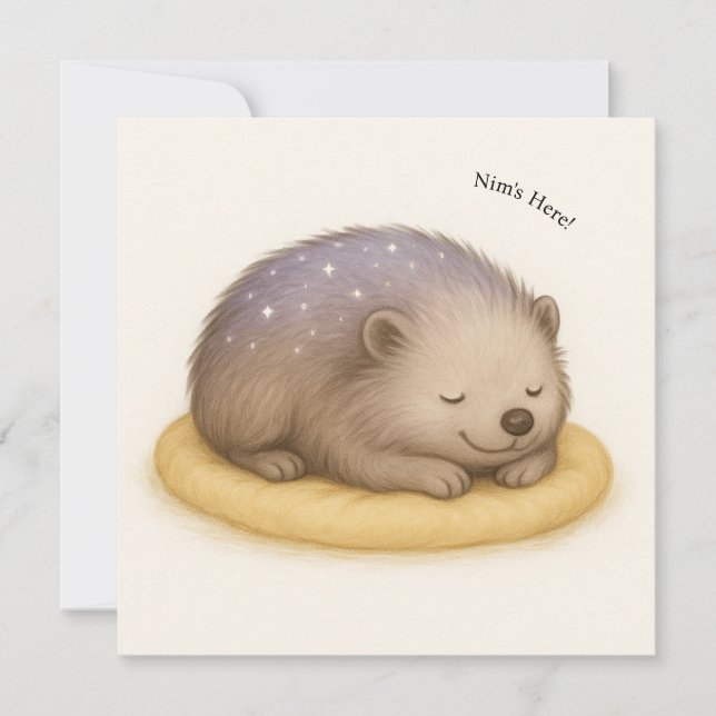 Nim Dorme Cartão Série de Conforto Personalizável (Frente)