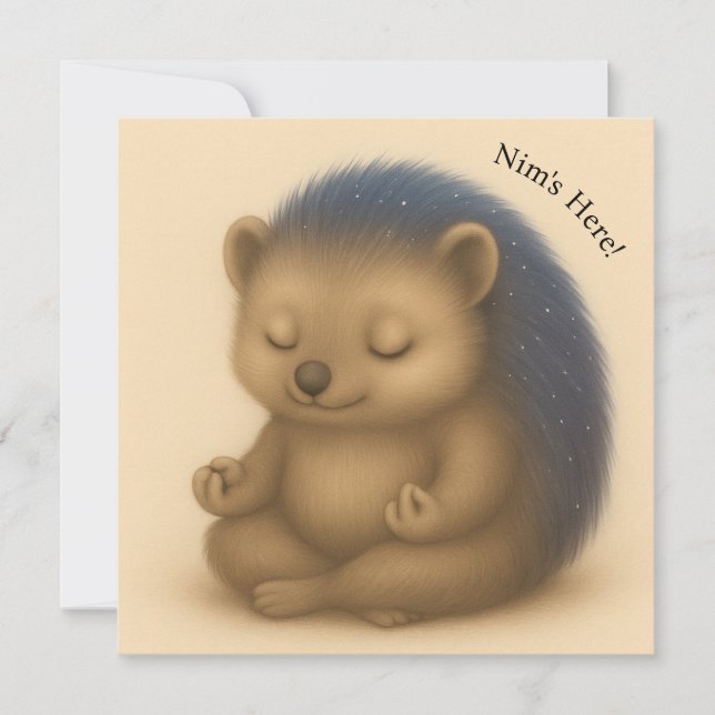 Nim Medita Uma Placa Personalizável Da Série De Co (Frente)