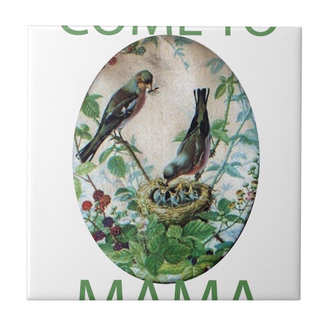 Ninho da Alegria: Amor Jovem Espirituoso da Famíli (Frente)