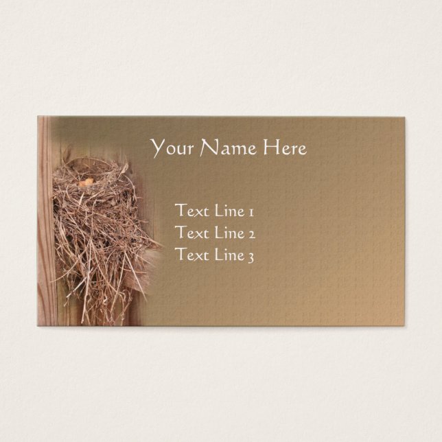 Ninho De Pássaro Vazio Na Natureza Da Cerca (Frente)