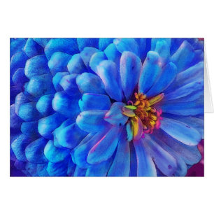 No azul, o cartão do Zinnia, floresce