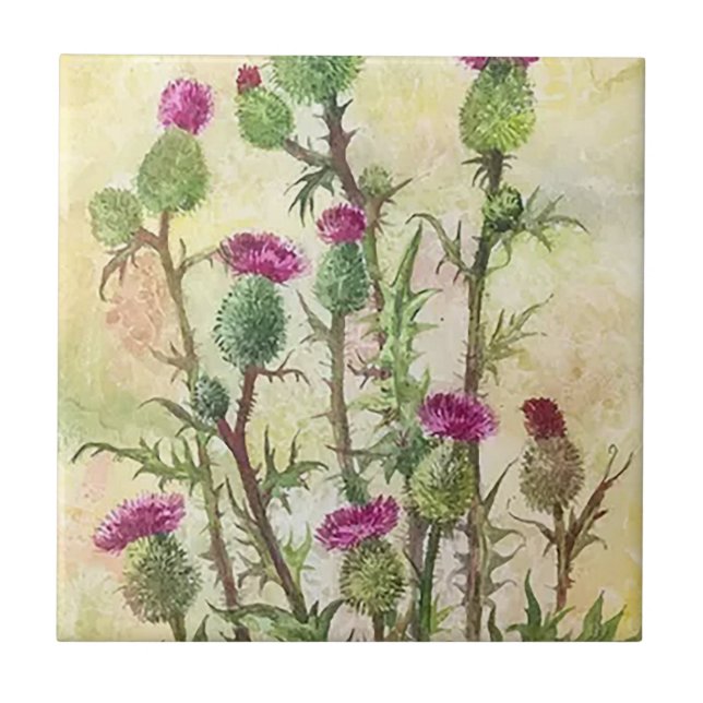 No Azulejo de Cerâmica do Jardim Flor (Frente)