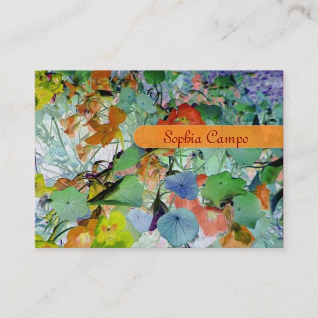 No campo, cartões de visitas de modelo coloridos (Frente)