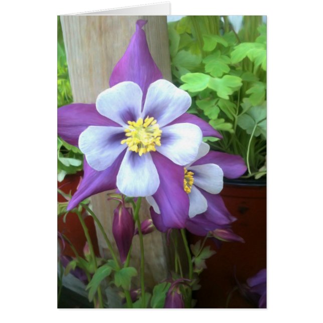 No cartão vazio do cargo (Frente)