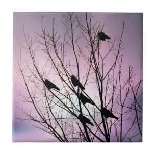 No céu nocturno roxo