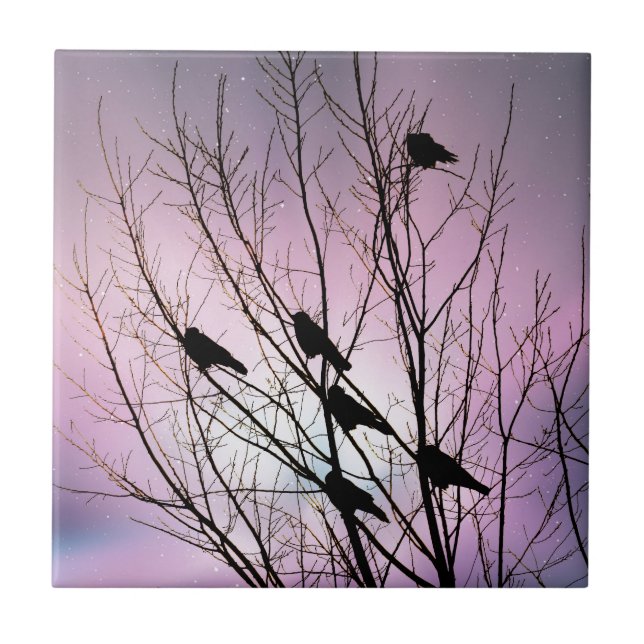 No céu nocturno roxo (Frente)