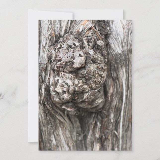 Nó de tronco de árvore (Frente)