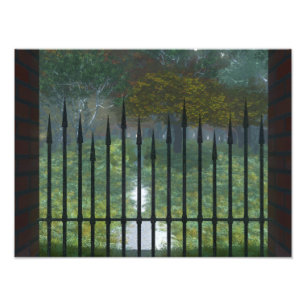 No Impressão de Fotografia da Floresta Antiga