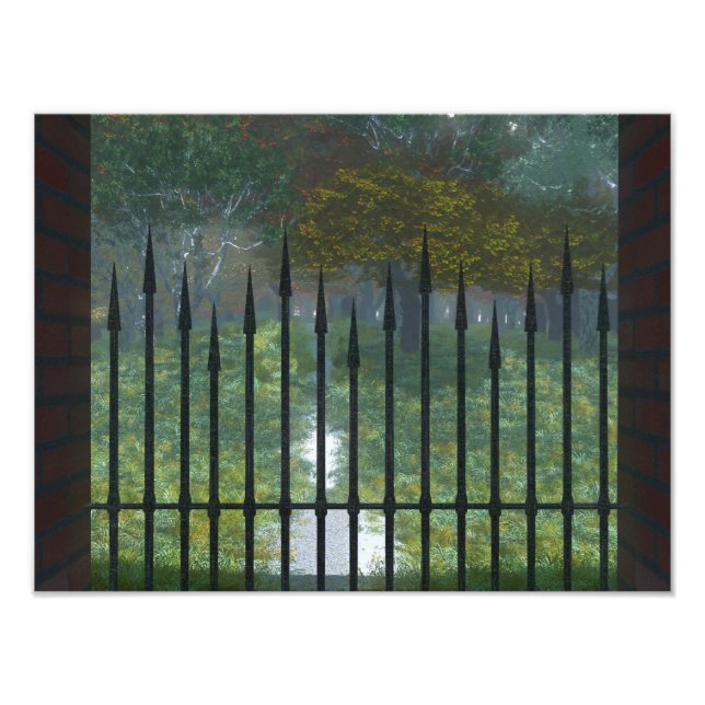 No Impressão de Fotografia da Floresta Antiga (Frente)