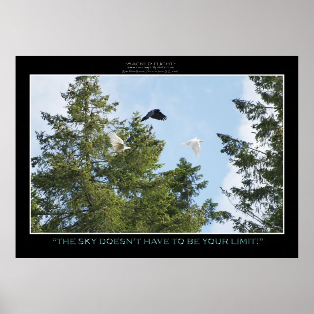 "NO LIMITS" Impressão ou Poster (Frente)