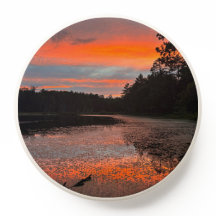 No Norte da Floresta Telefônica