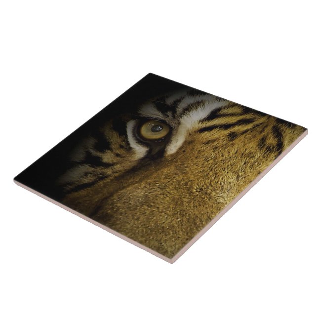 No Olho de um Tigre (Lateral)