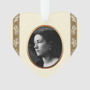 No ornamento memorável 2 da foto feita sob