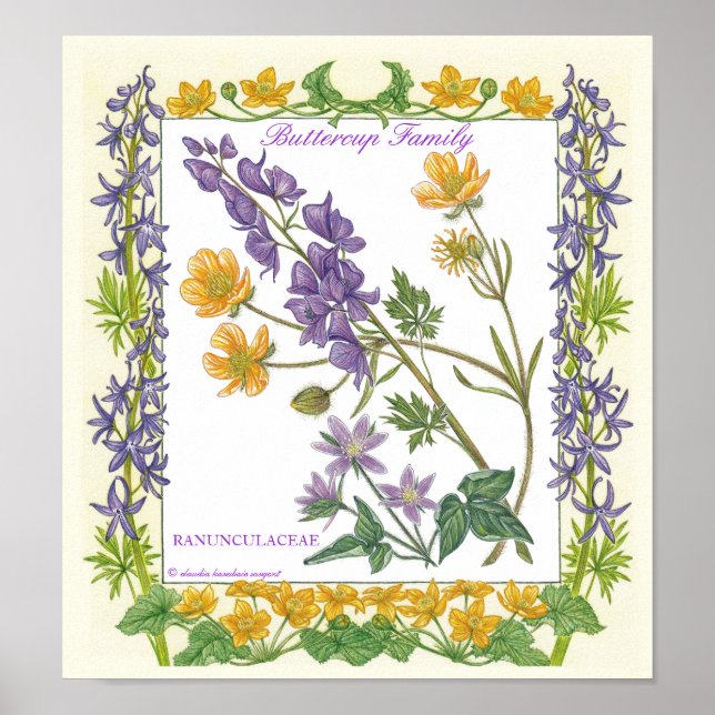 No Poster da Família Jardim ~ ButterCup (Frente)