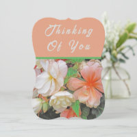 "No Seu Aniversário, Estou Pensando Em Você"/flora