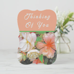 "No Seu Aniversário, Estou Pensando Em Você"/flora