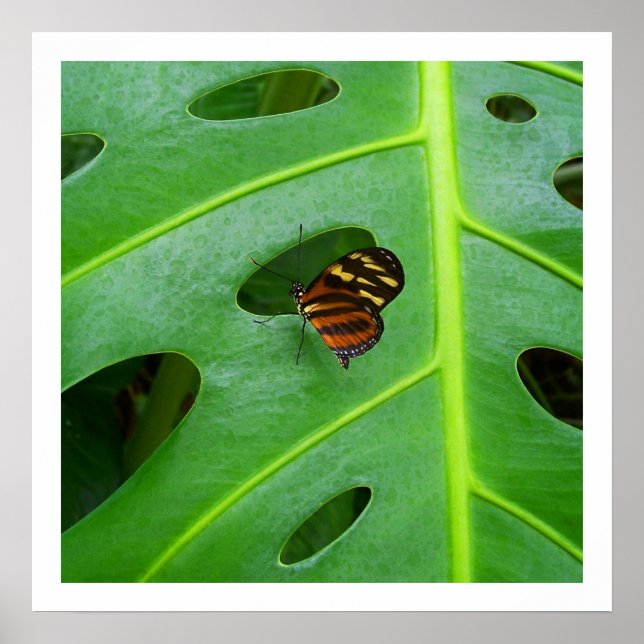 No Verde - Impressão Quadrado (Frente)