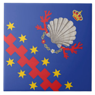 Nobile Contrada del Nicchio (Seashell)