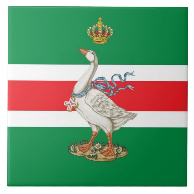 Nobile Contrada dell' Oca (Goose) Palio (Frente)