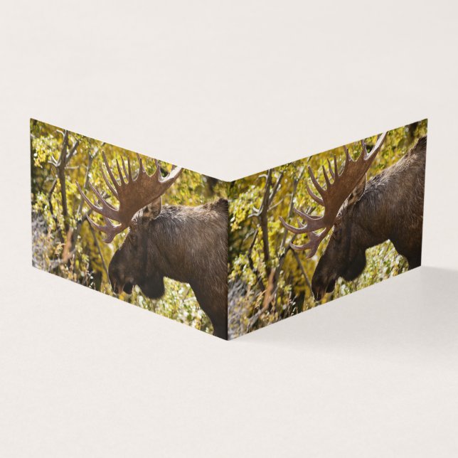 Noble Bull Moose (Exterior)