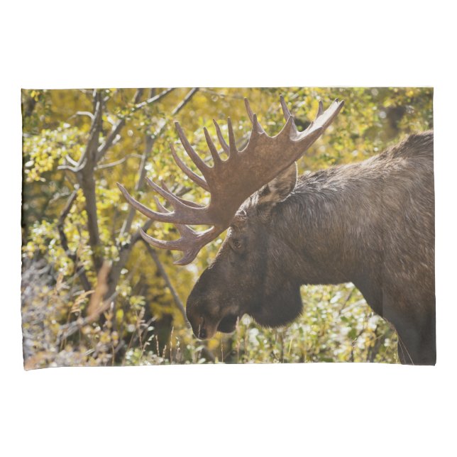 Noble Bull Moose (Frente-Direita)
