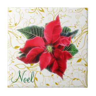 Noel Poinsettia