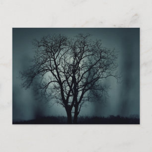 Noite Assustadora de Halloween com Cartão Postal d
